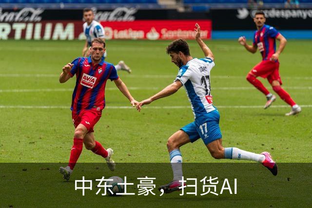中东土豪，扫货AI