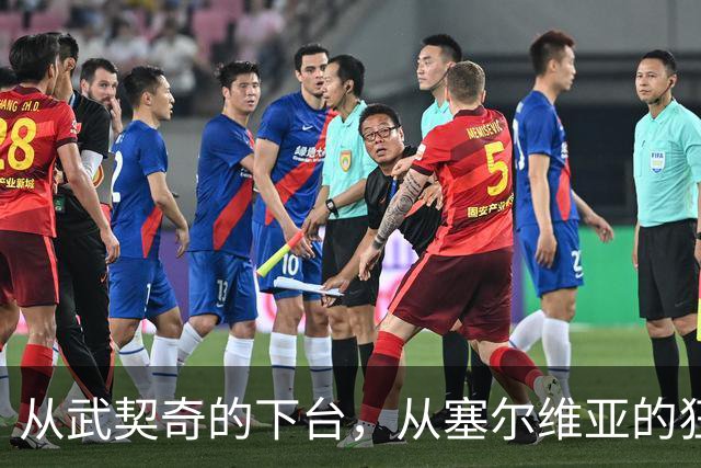 从武契奇的下台，从塞尔维亚的狂欢，来分析中国网友的眼界和素养