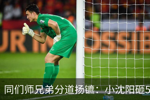 同们师兄弟分道扬镳：小沈阳砸5000万赚回2亿，宋小宝身价跌至8万