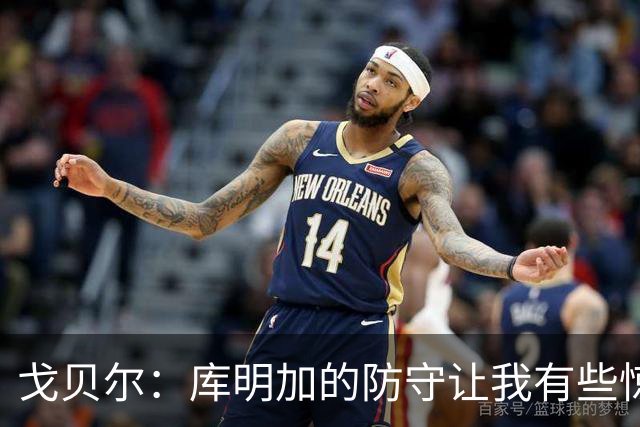 戈贝尔：库明加的防守让我有些惊讶 他能防顶级侧翼和强壮大前锋