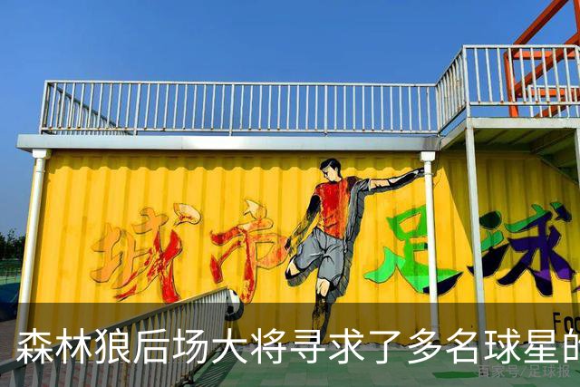 森林狼后场大将寻求了多名球星的意见，他为自己的恢复设定了期限
