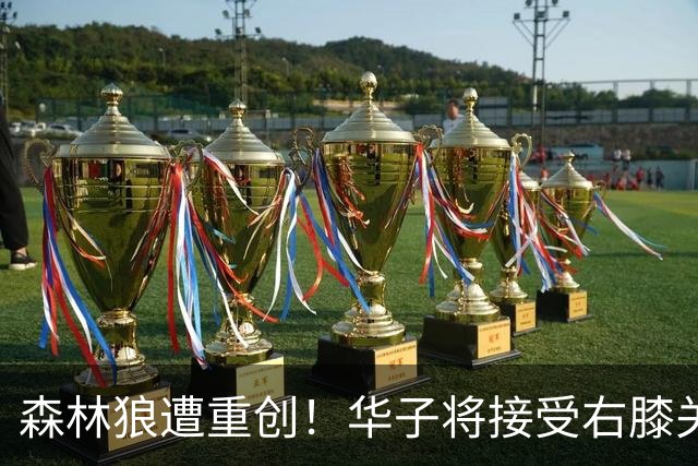 森林狼遭重创！华子将接受右膝关节镜手术 或休两个月再次无缘评奖