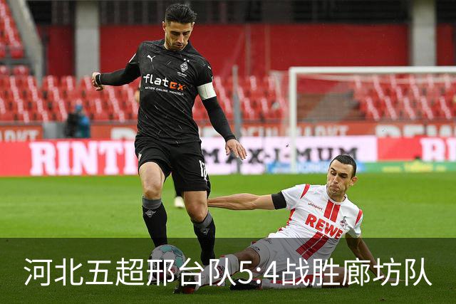 河北五超邢台队5:4战胜廊坊队