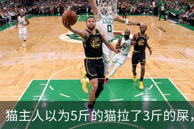 猫主人以为5斤的猫拉了3斤的屎，直到调取监控才发现