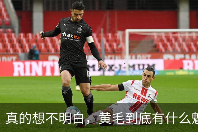 真的想不明白，黄毛到底有什么魅力？