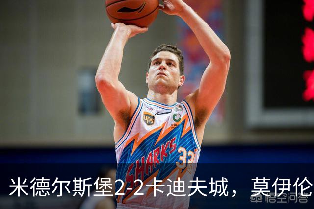 米德尔斯堡2-2卡迪夫城，莫伊伦破门，威尔-兰克希尔救主