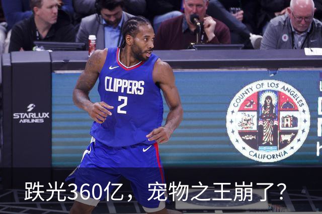 跌光360亿，宠物之王崩了？